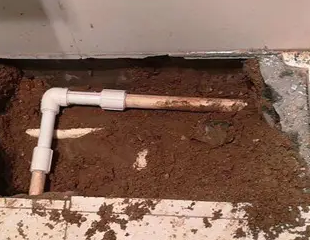 思南测漏水哪家好