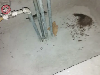 思南卫生间测漏水价格明细