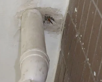 思南漏水检测哪家好